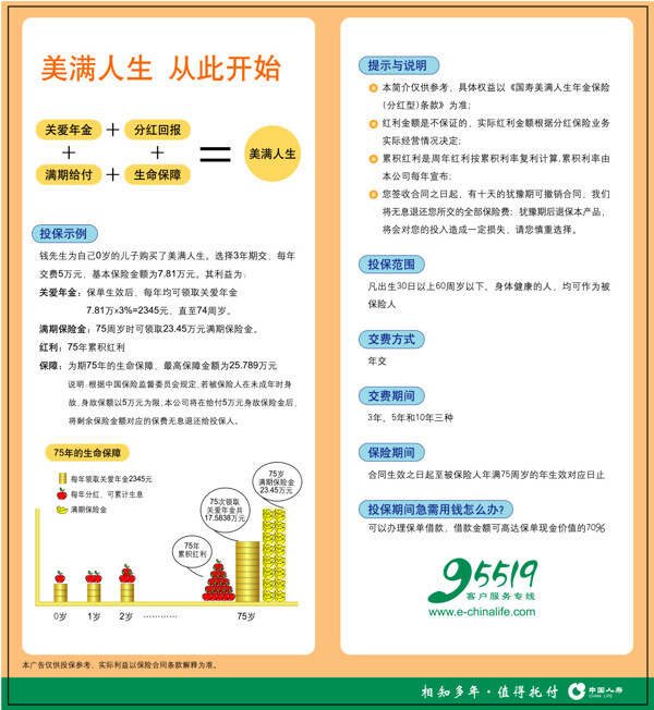 中国人寿二折页反面图片