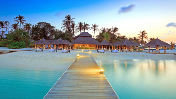 马尔代夫沙滩海岸小岛