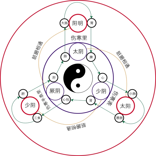 十二经络养生图片