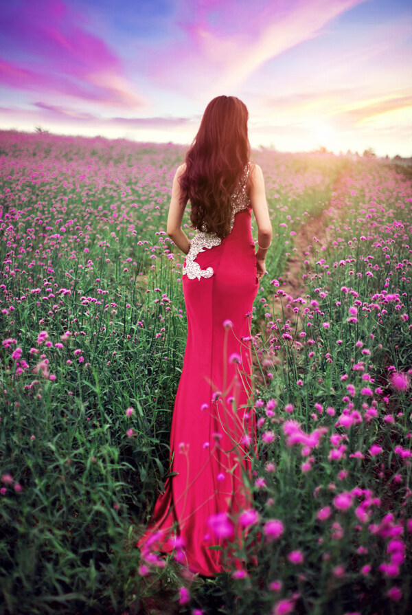薰衣草里的红裙美女图片