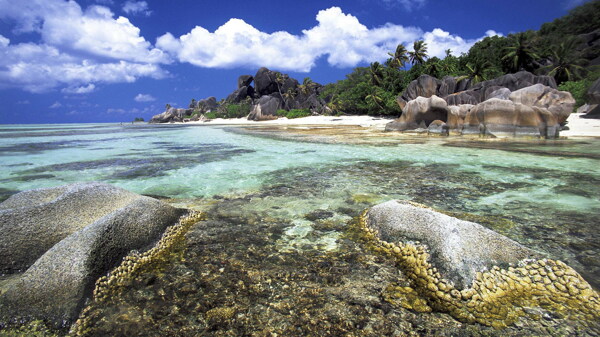 蓝天白云海岸礁石图片
