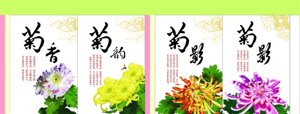 菊花灯笼画面