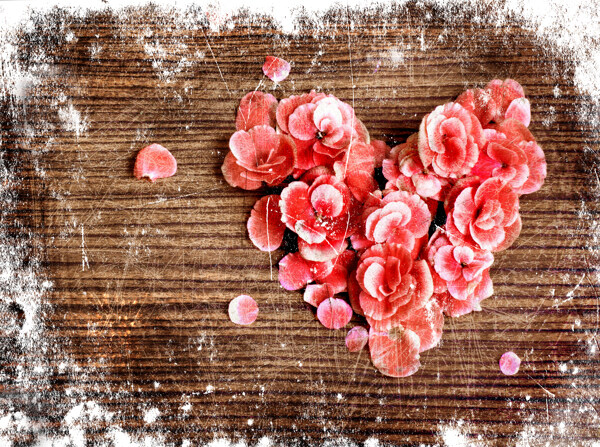 木板上的红色爱心花朵图片