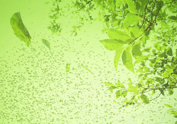 翠绿艺术花纹背景墙