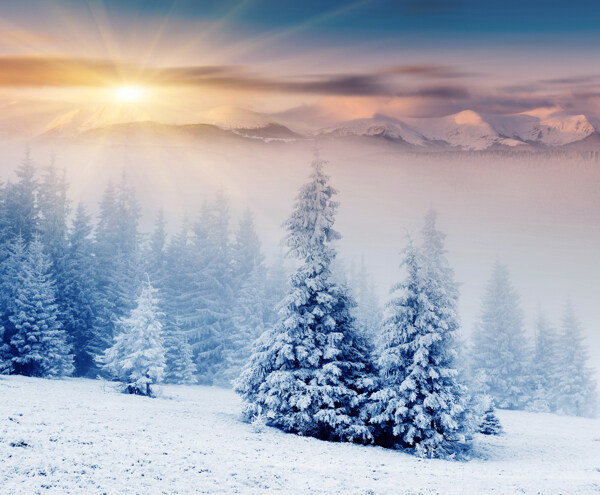 冬季日落雪景图片