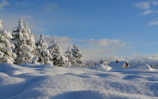 冬日里的雪景