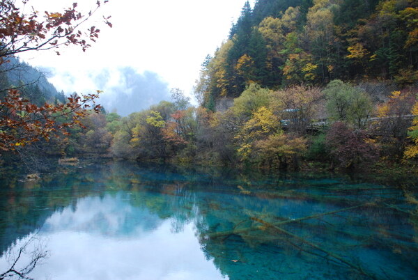 美丽自然景观