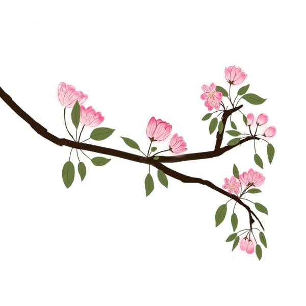 海棠花装饰图手绘插画免费下载