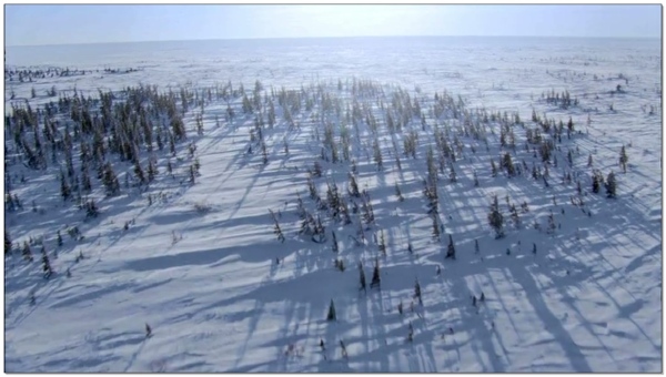 雪景动态视频素材
