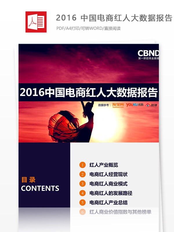 2016中国电商红人大数据报告范文