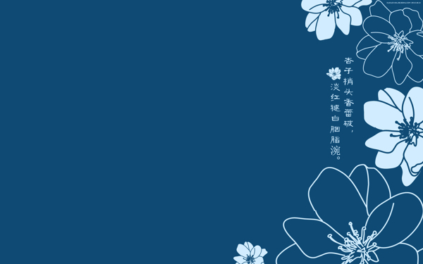 曼妙菊花背景图片