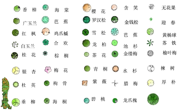 平面植物素材图片