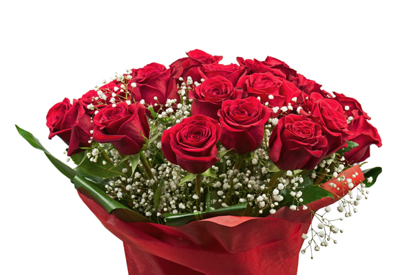 鲜艳红色玫瑰花束图片
