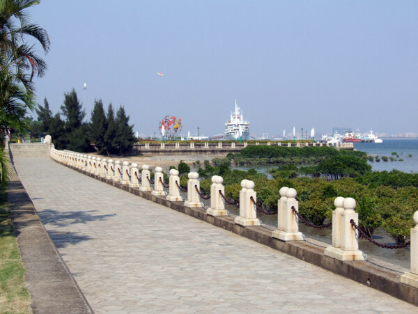 湛江观海长廊海边红树林图片