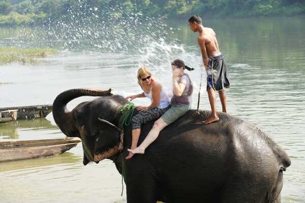 骑大象的游客