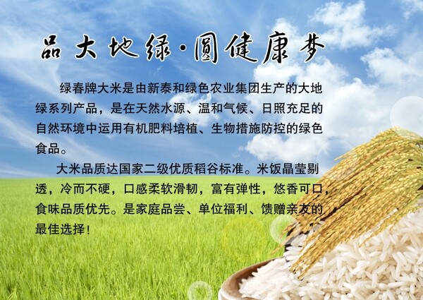 绿色大米稻谷稻田图片