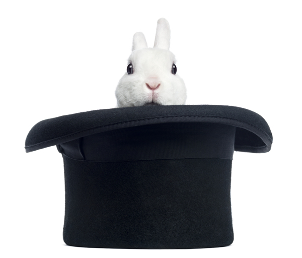 魔法师帽子里的兔子图片