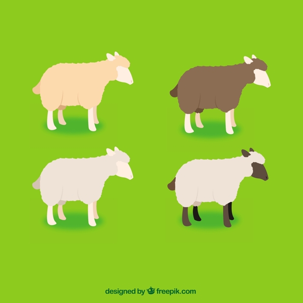 各种各样的羊