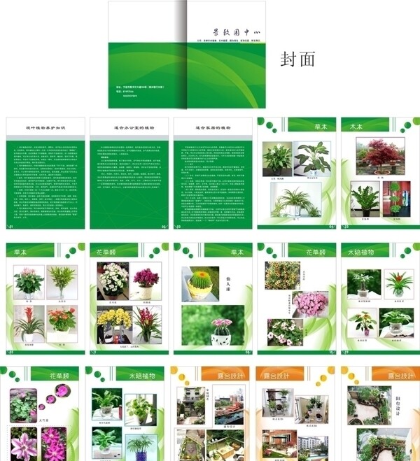 植物画册图片