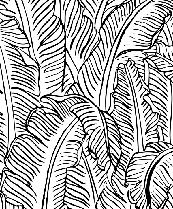 蕉叶林手绘白描勾线图片
