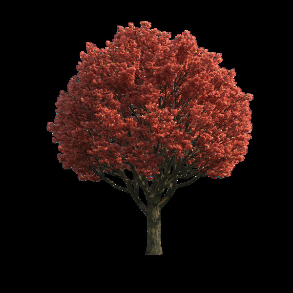 红色枫叶系列装饰