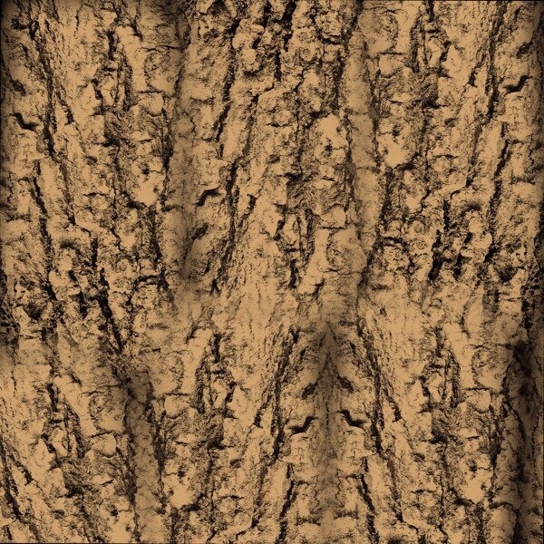 树皮背景纹理图片