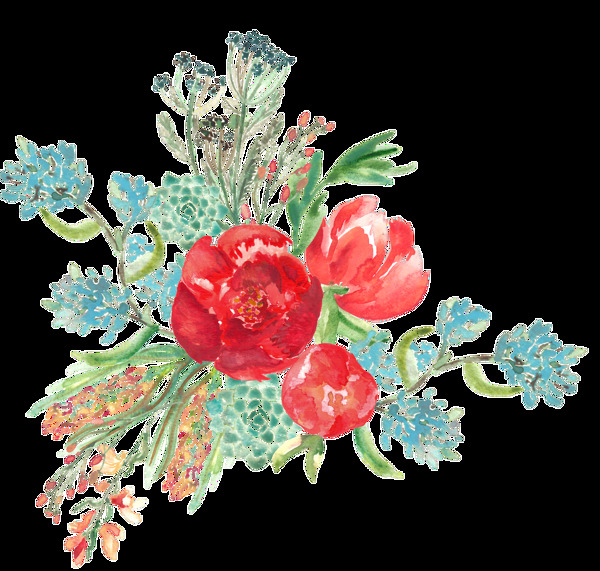 手绘彩色花卉透明素材合集