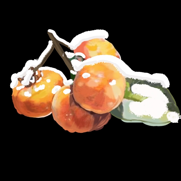 冬季柿子树枝插画