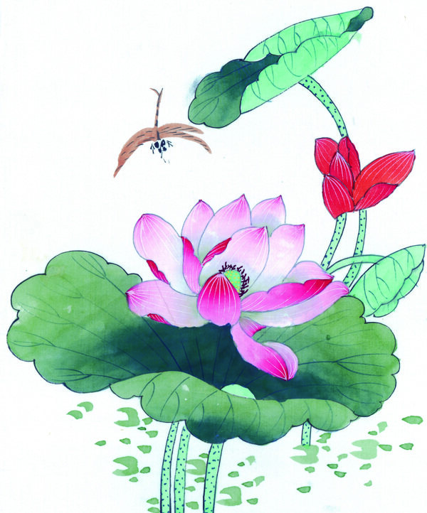 中国风花小鸟喜鹊牡丹桃花芍药中华艺术绘画