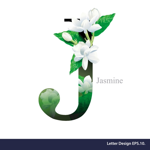 百合热带花卉英文字母字体设计