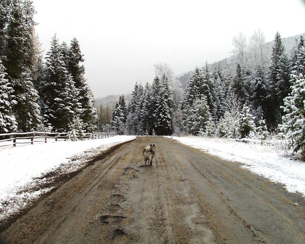 冰雪世界自然风景贴图素材JPG0297