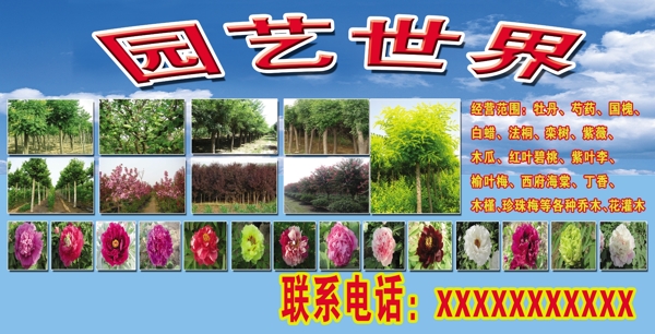绿化苗木图片
