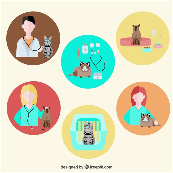 6宠物猫兽医矢量图标