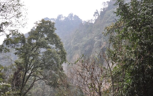 青城山风景图片