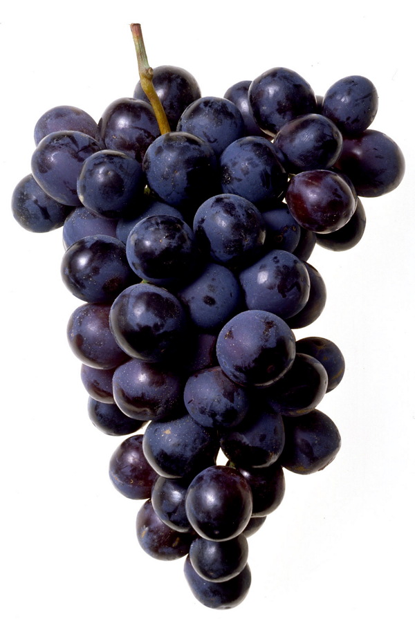 一串紫色的葡萄图片