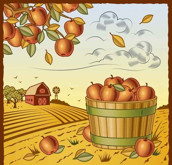矢量丰收的苹果园图片