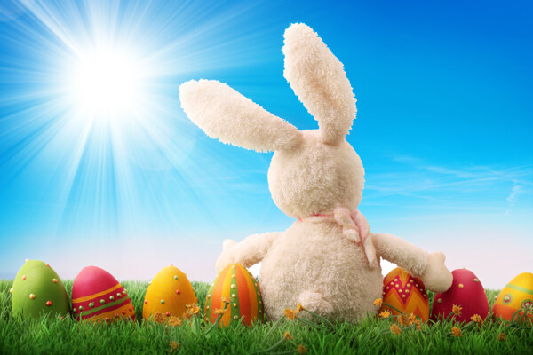 复活节彩蛋与兔子