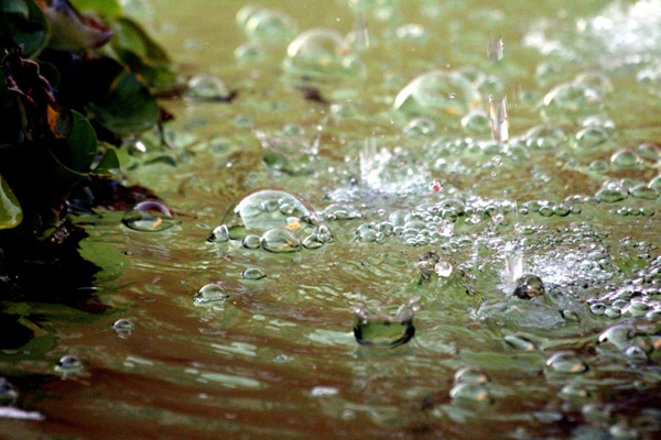 水溅泡沫绿色湿动