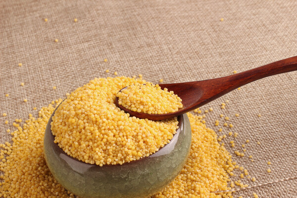 黄小米小黄米杂粮素材