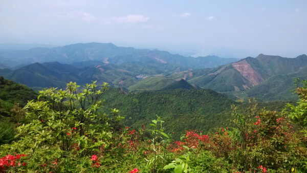 青山图片