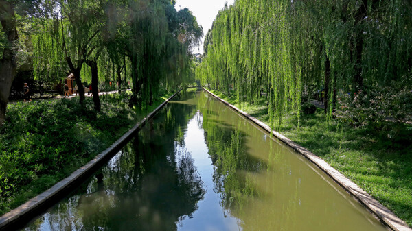 北京紫竹院公园风景