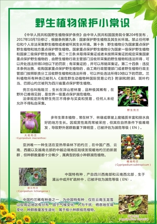 野生植物保护常识宣传单图片