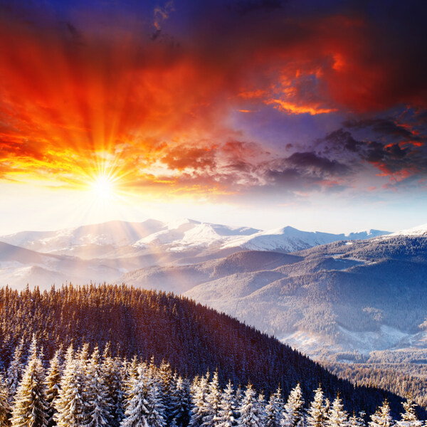 美丽冬天黄昏风景图片