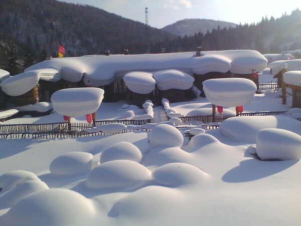 雪景雪蘑菇图片