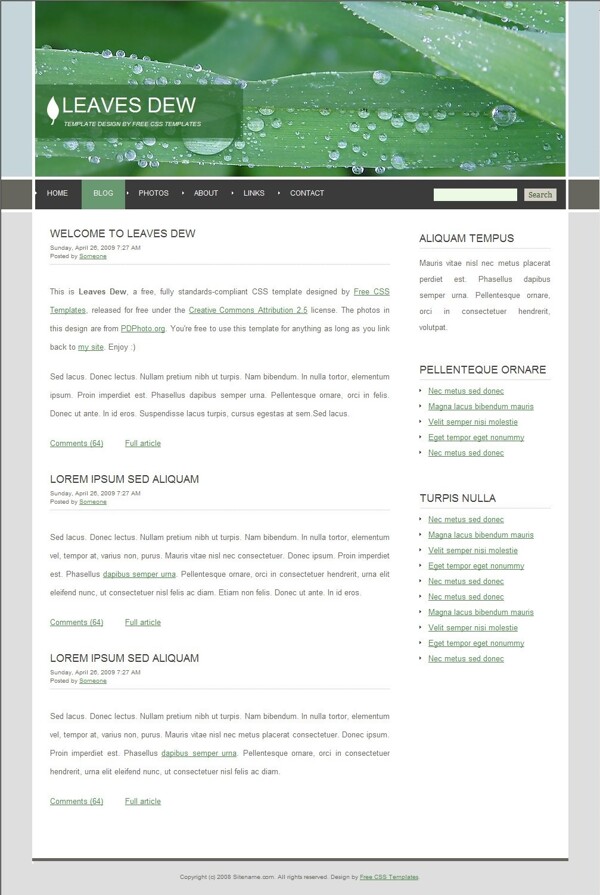 绿叶露水主题BLOG网页模板