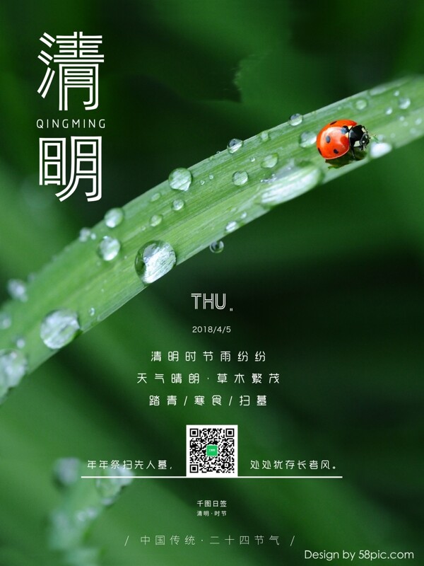 绿叶瓢虫中国传统节日二十四节气清明日签