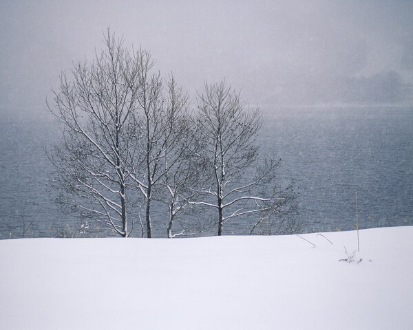 冬天雪景雪景大雪