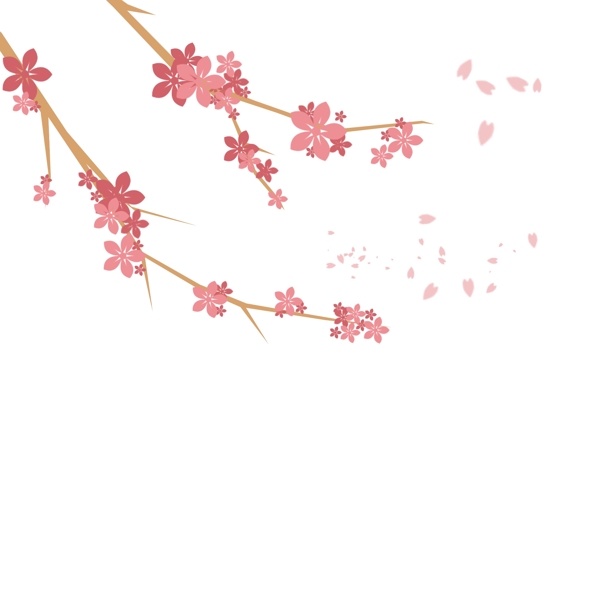 粉色花朵树枝花瓣飘落