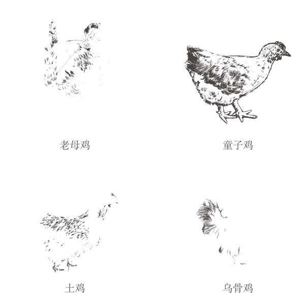 矢量各种鸡装饰图案