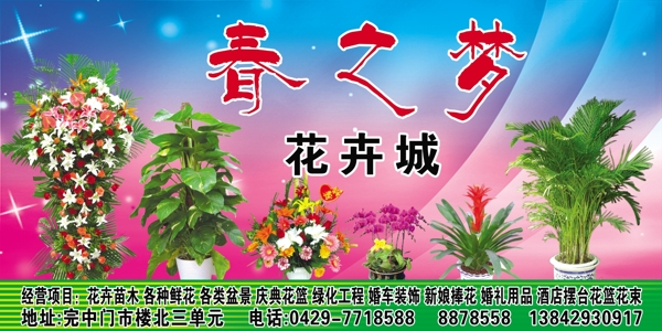 花卉